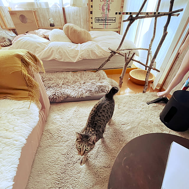 Mさんの部屋