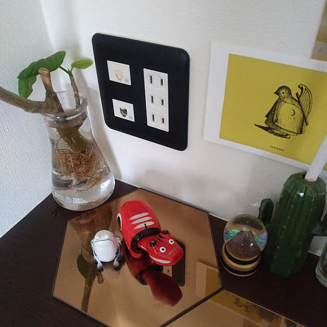 tamaさんの実例写真