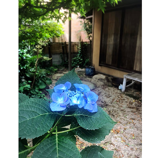 riettaさんの実例写真