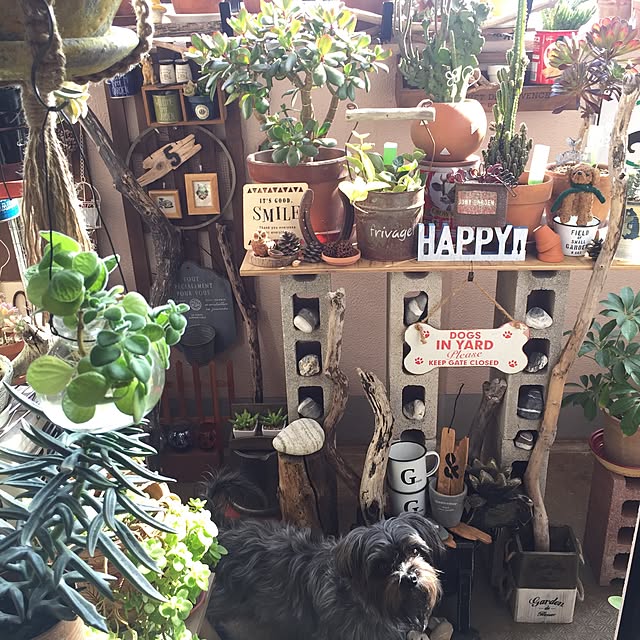 emiさんの実例写真
