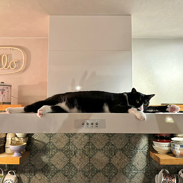 akaneさんの部屋