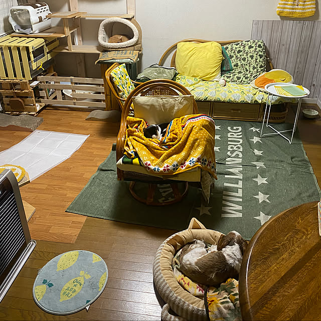 SHIHOさんの実例写真