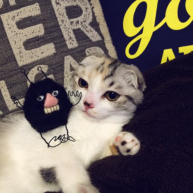 yokkochanさんの実例写真