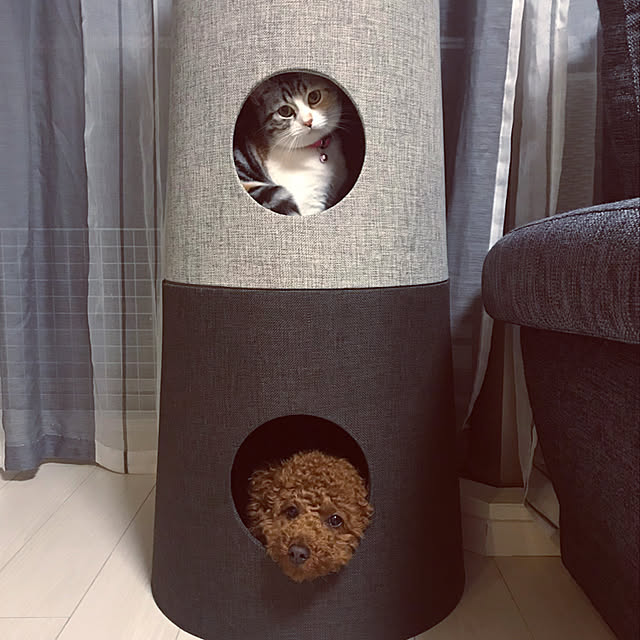 momogienistさんの実例写真