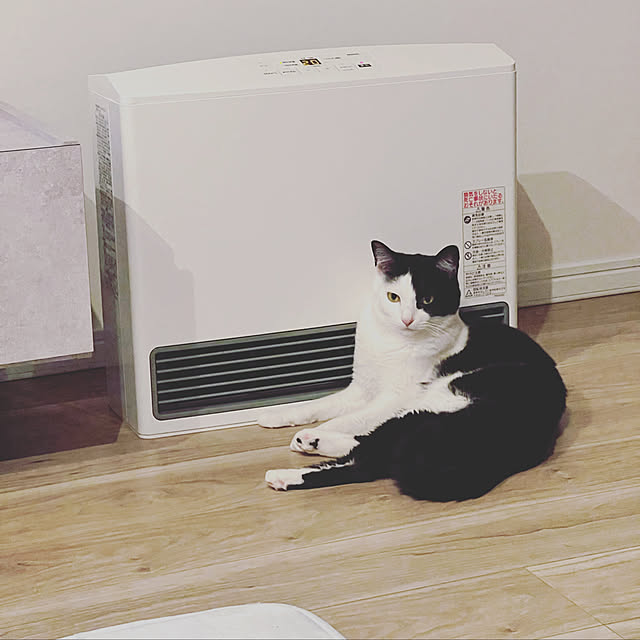 neko_daisukiさんの実例写真