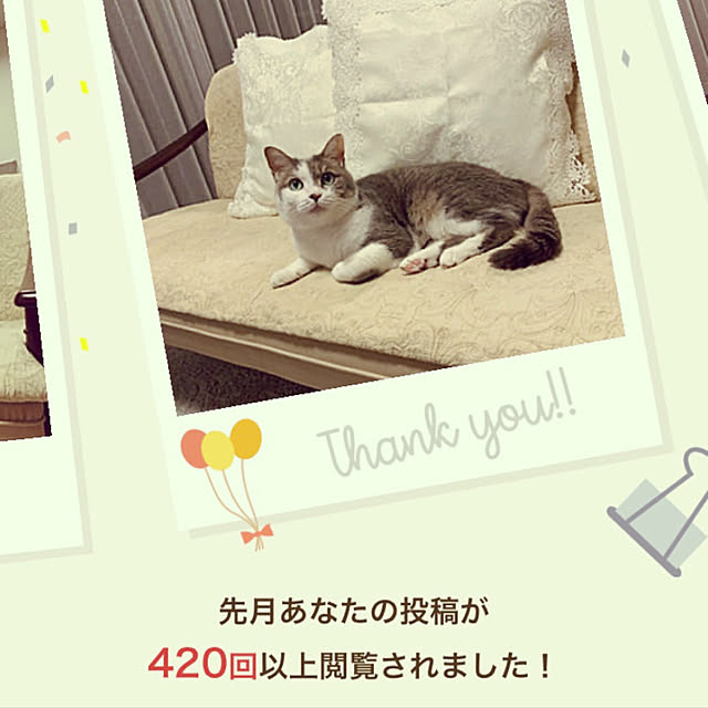 ichさんの実例写真