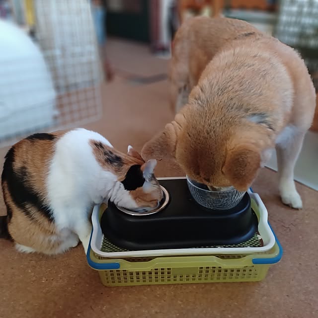 nanaさんの部屋