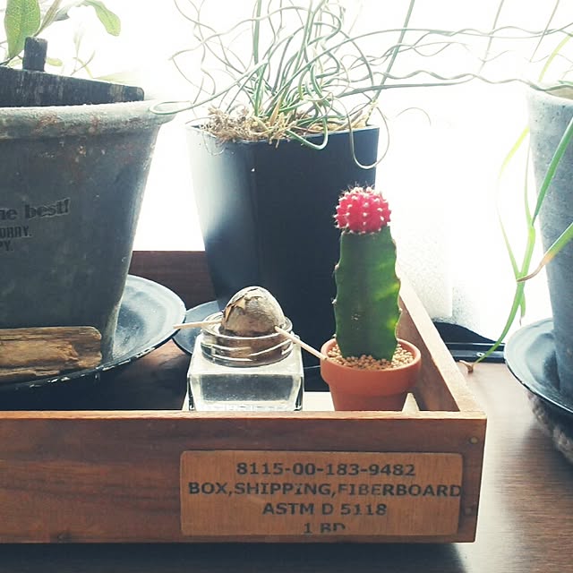 oliveさんの実例写真
