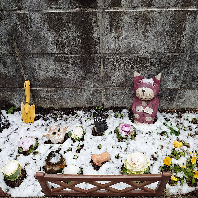 fukuさんの実例写真