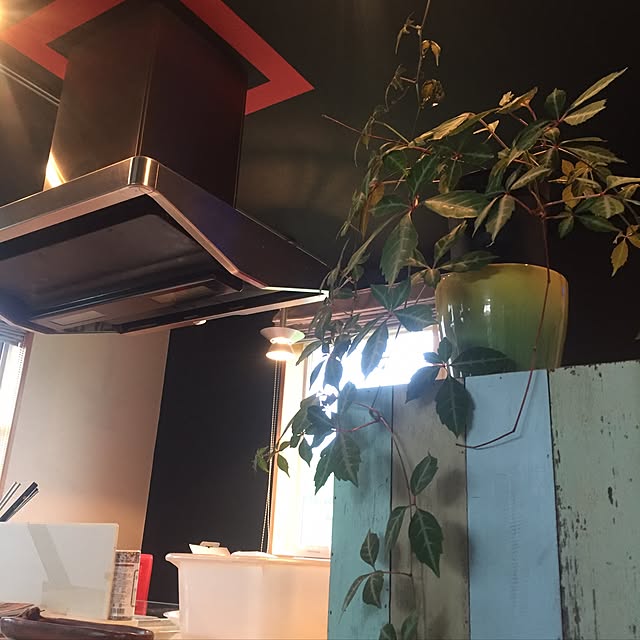 キッチン/観葉植物/照明/カフェ風のインテリア実例 - 2016-08-22 15:09:47