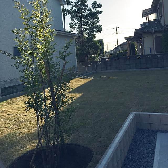Ayumiさんの実例写真