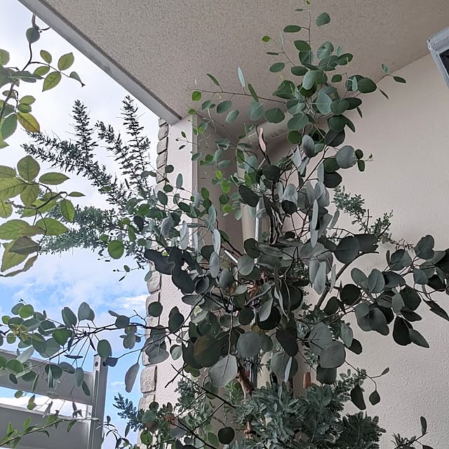 flannel.さんの部屋