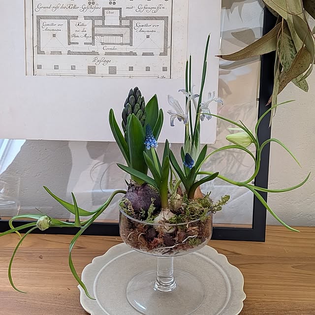 nolleyさんの実例写真