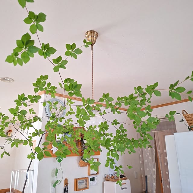 Blancheさんの部屋