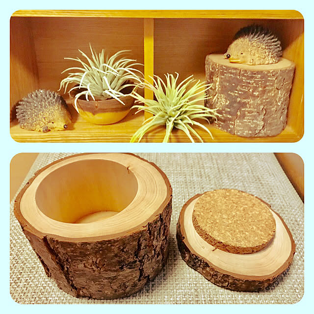 BUNさんの実例写真
