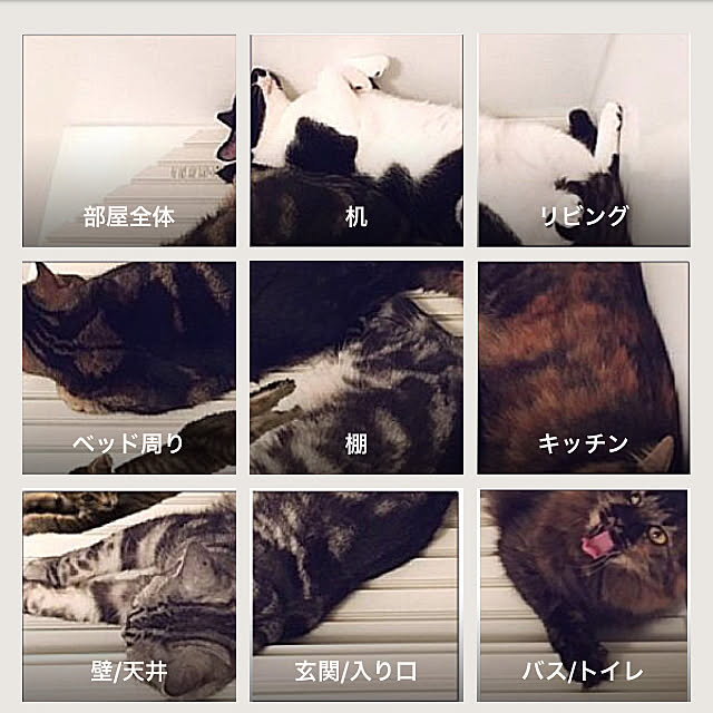 mikomaruさんの実例写真