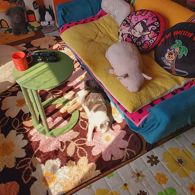 kumutanさんの部屋