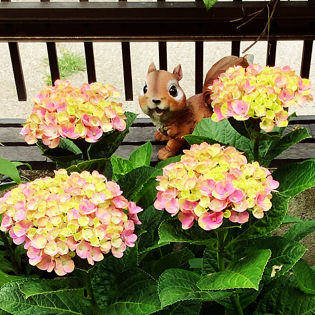 taeさんの実例写真