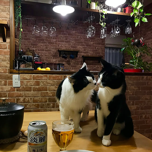 butachanさんの実例写真