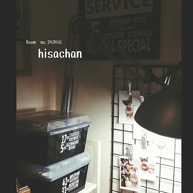 hisachanさんの実例写真