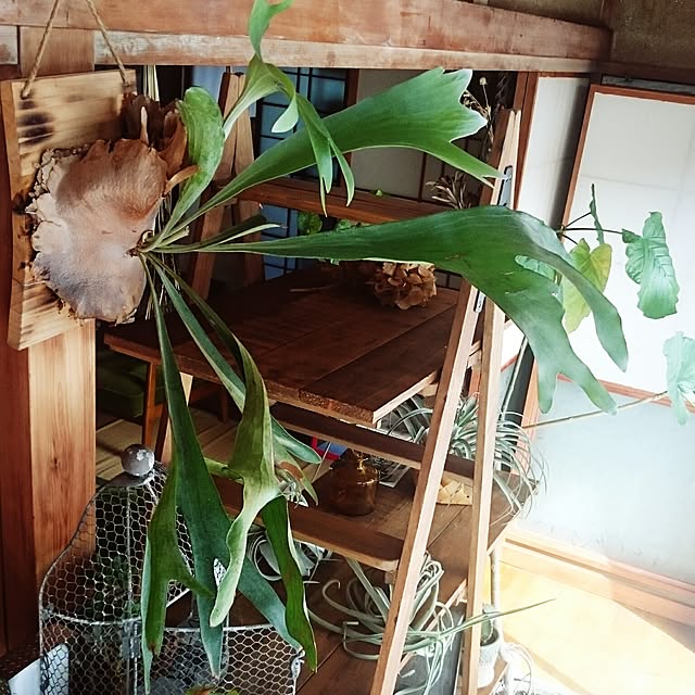 takenさんの実例写真