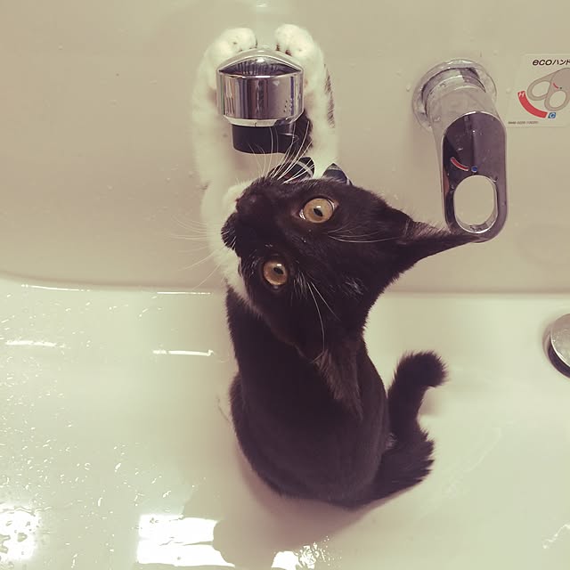 taeさんの実例写真