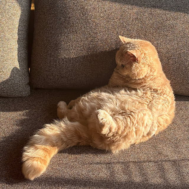 naokoさんの部屋