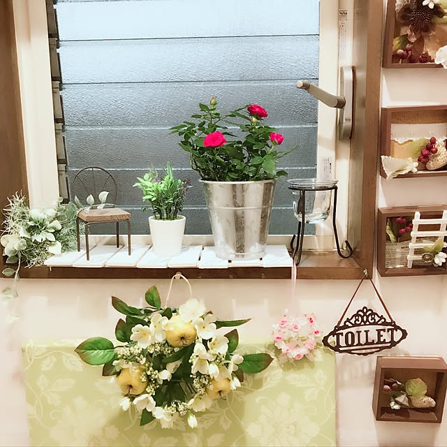 Chipさんの実例写真