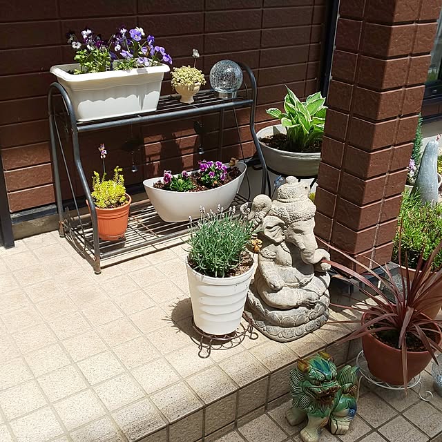 yumiyumiさんの実例写真