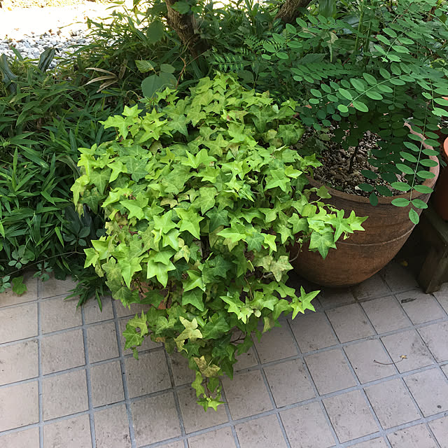 実例写真