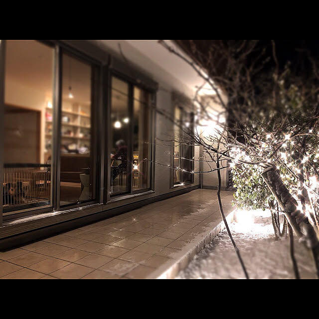 snow-childさんの実例写真
