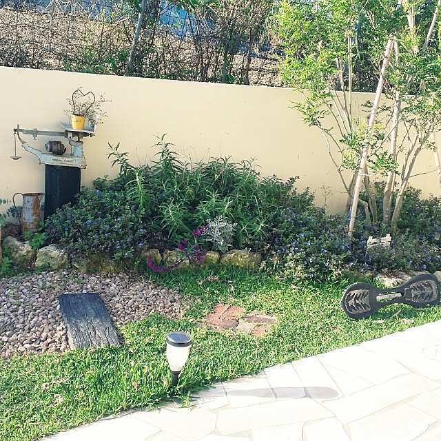 bu-bu-chanさんの実例写真