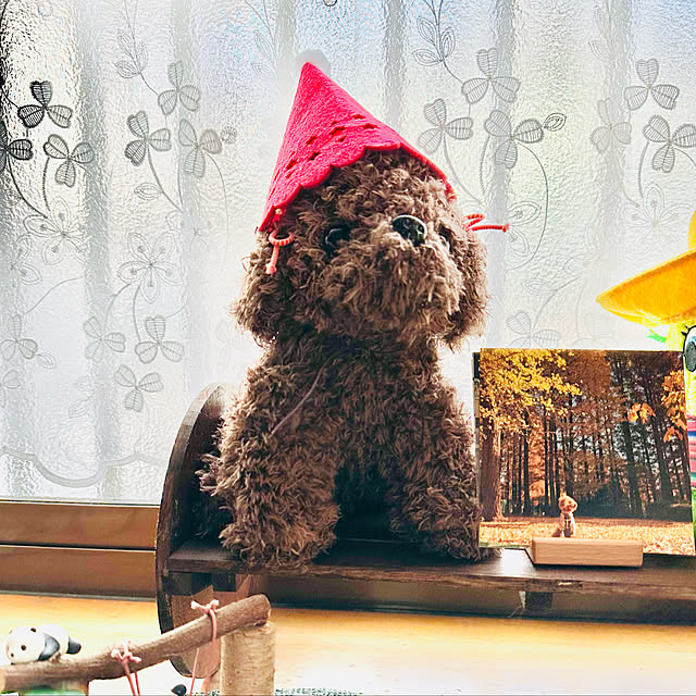 n_k6369さんの実例写真