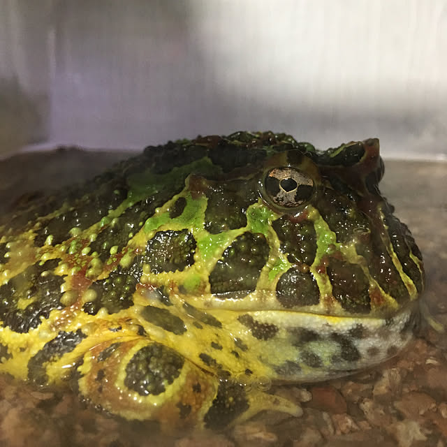 rby88さんの実例写真