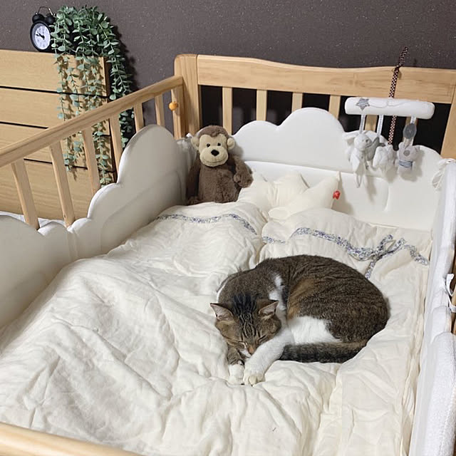 mokkeさんの実例写真