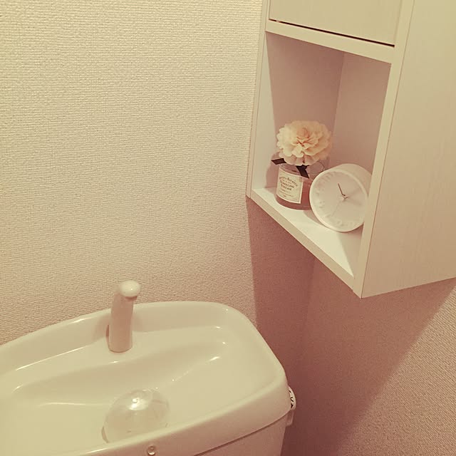 pinyokoさんの実例写真
