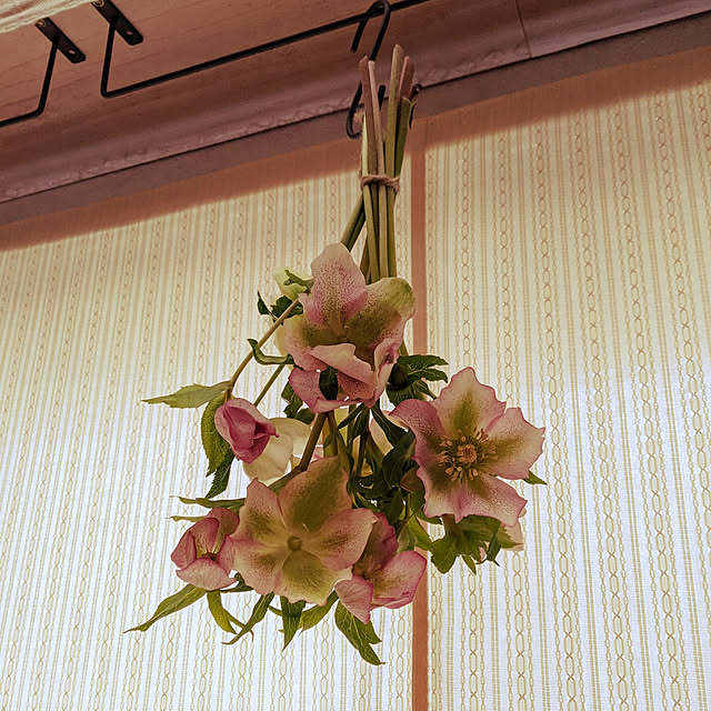 kouheiyuto24623takaさんの実例写真
