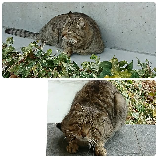 hiroさんの実例写真
