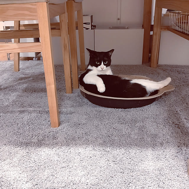 hihaさんの実例写真