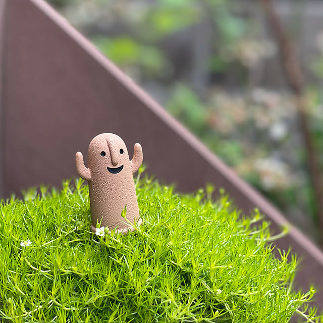 miechuraさんの実例写真