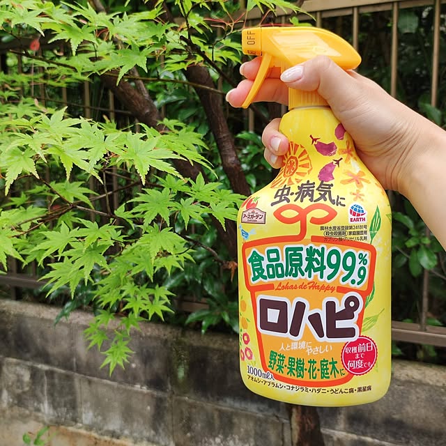 kumako.ieさんの実例写真
