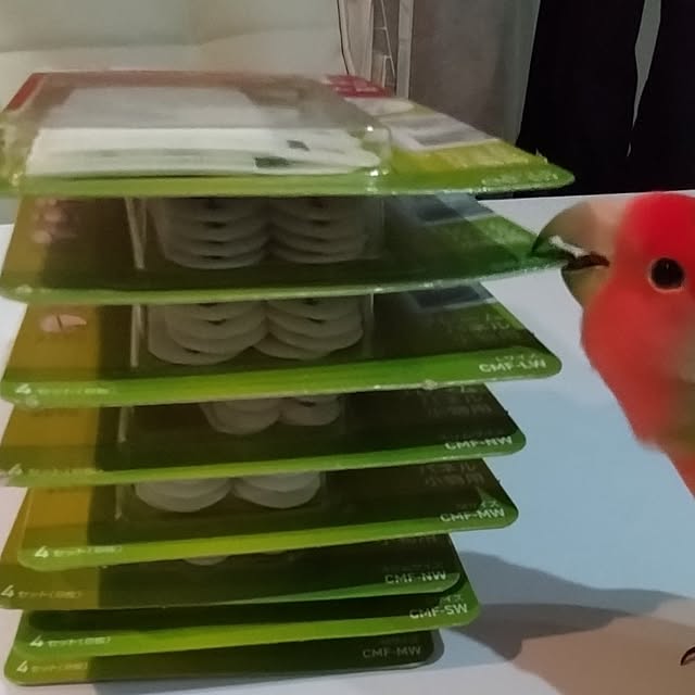 toratanさんの実例写真