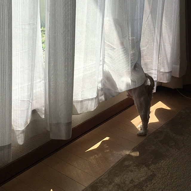 my_homeさんの実例写真