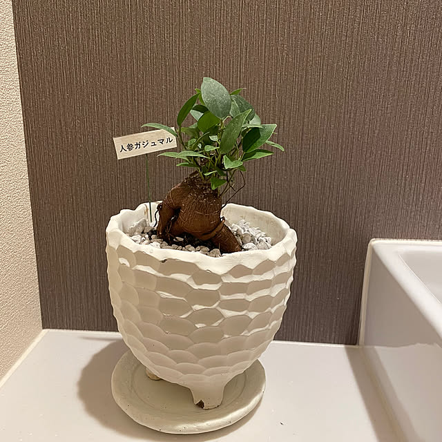 tontonさんの実例写真