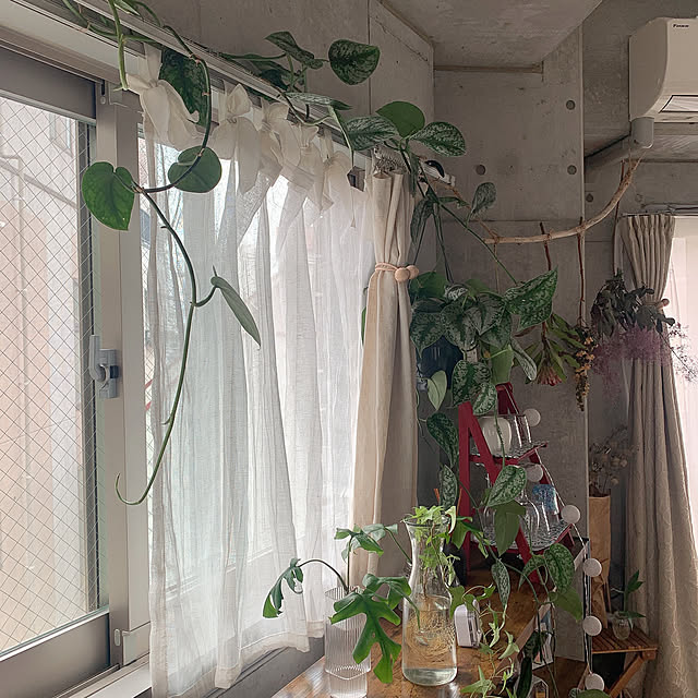 olive18さんの実例写真