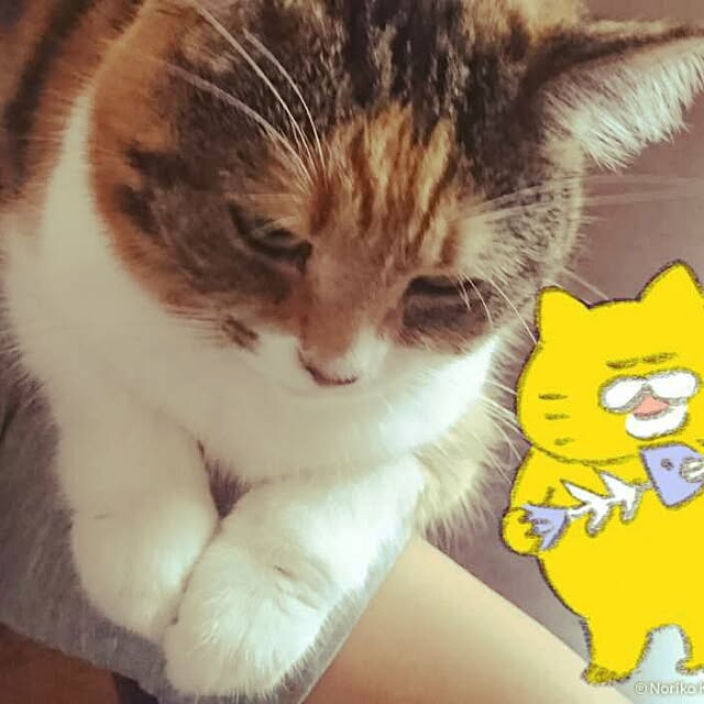 yukieさんの実例写真