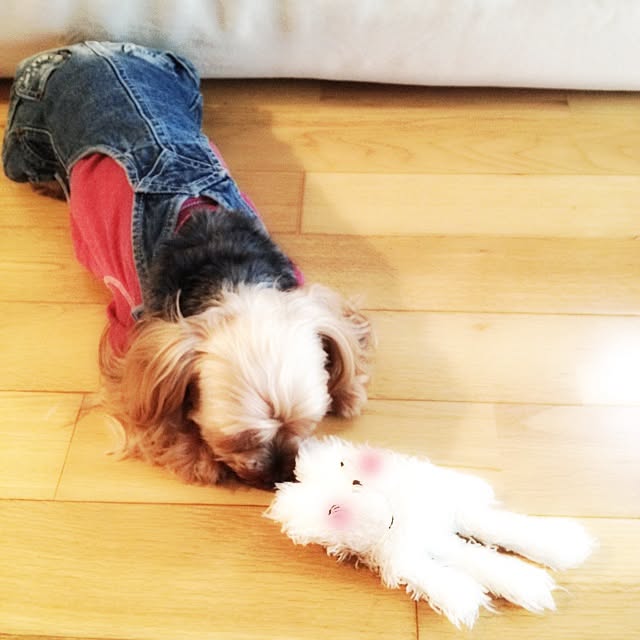 popiさんの実例写真