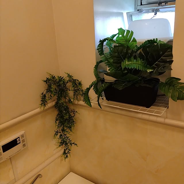 runaさんの部屋