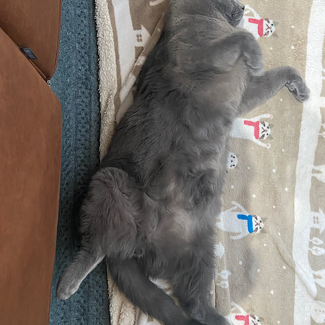 emabokさんの部屋