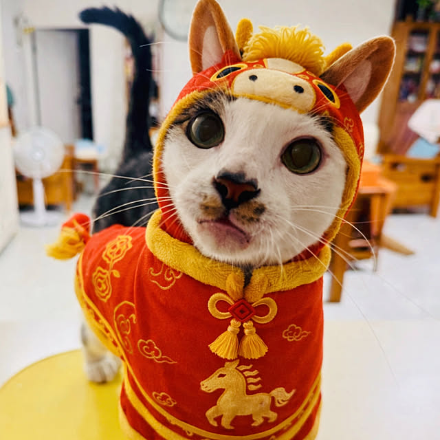 pcu110さんの部屋